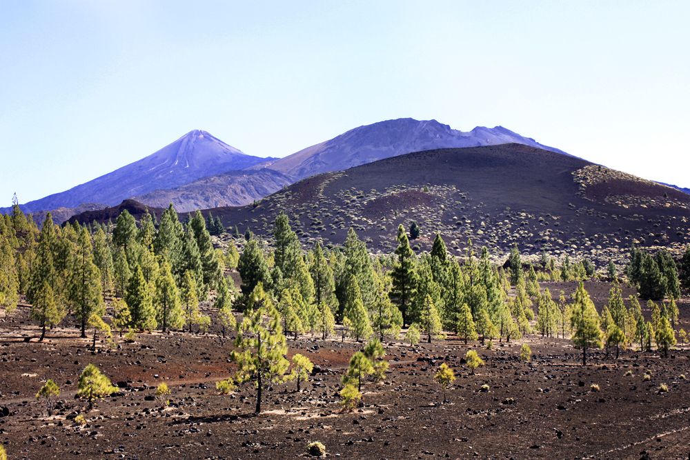 Photograph by Людмила Иевлева