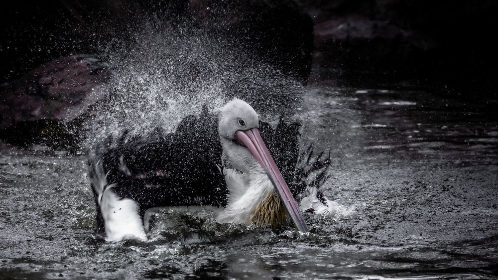 Photograph by Maitham Al Lawati