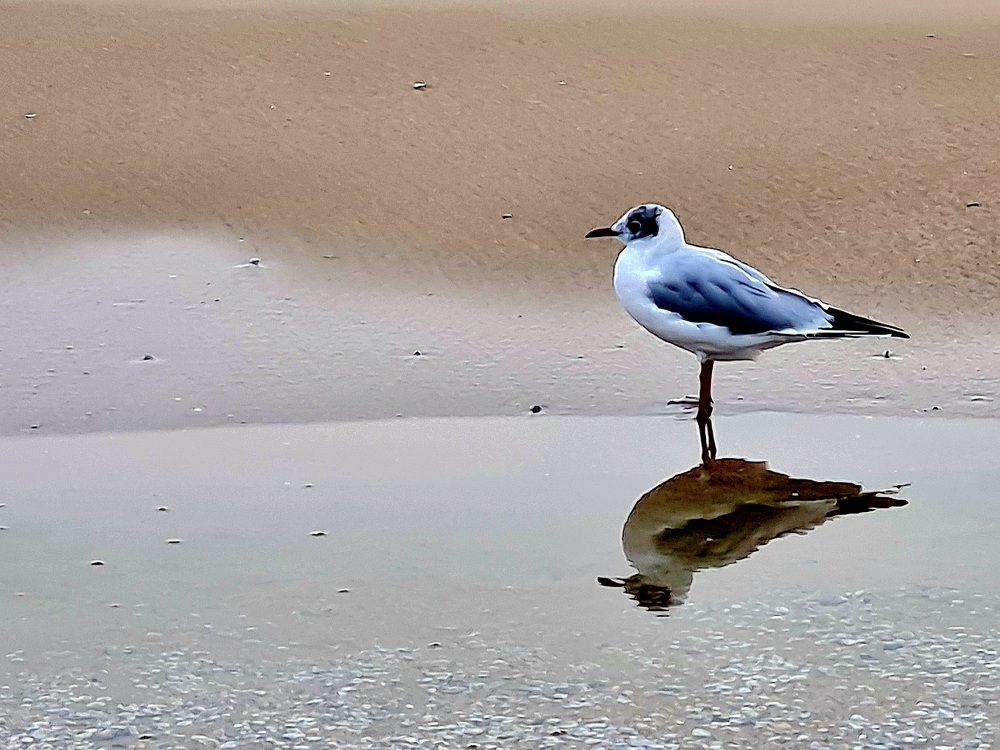 Photograph by Ирина Синягина