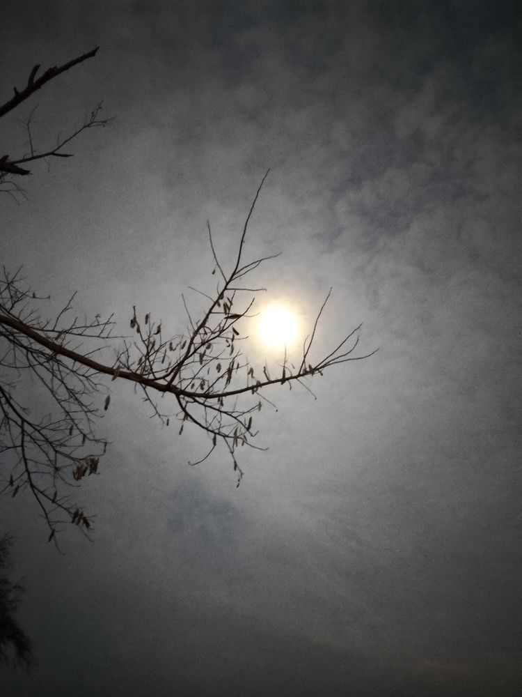 Photo #9054284