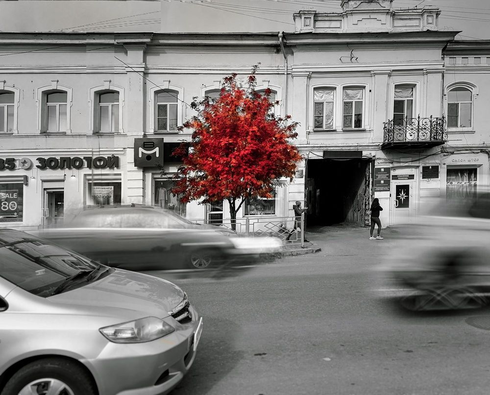 Photograph by Светлана Шелухеева