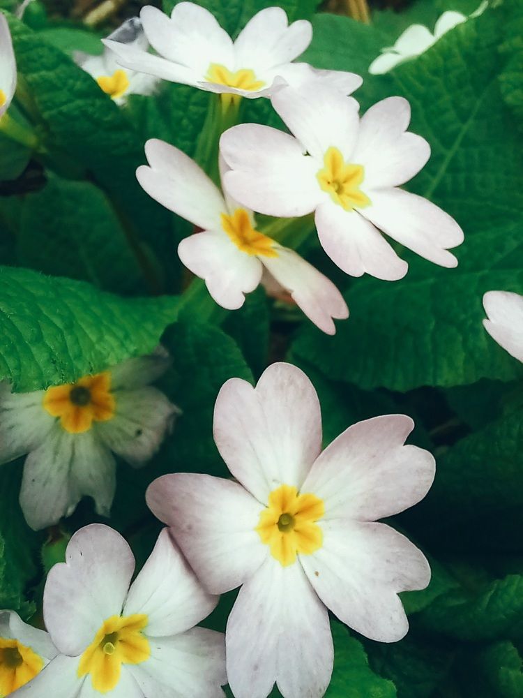 Photograph by Наталья Покрепина