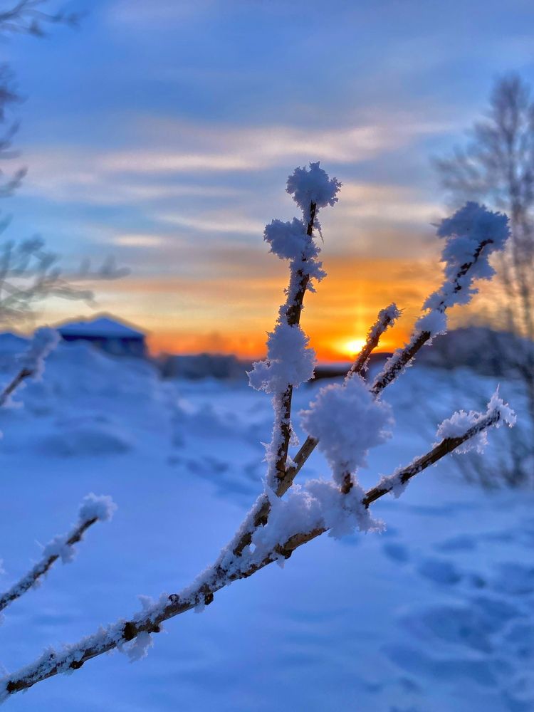 Arctic sunset