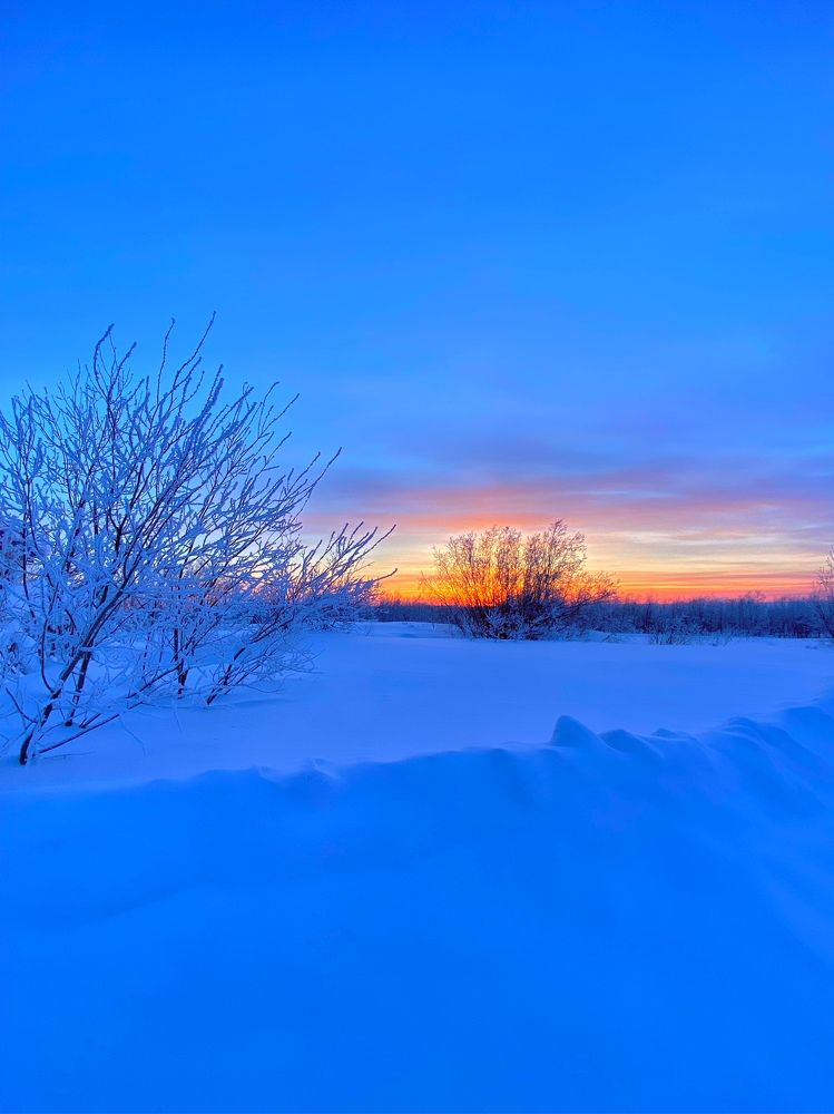 Photograph by Алина Подгорная-Стукун