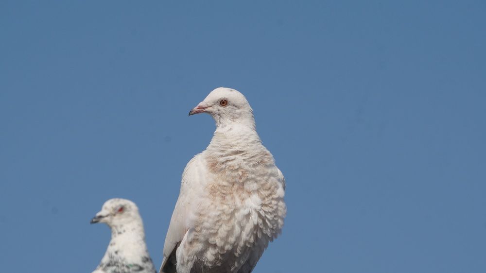 Photograph by Prabhu Viswanathan