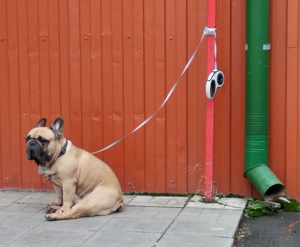 Photograph by Павел Вихрев