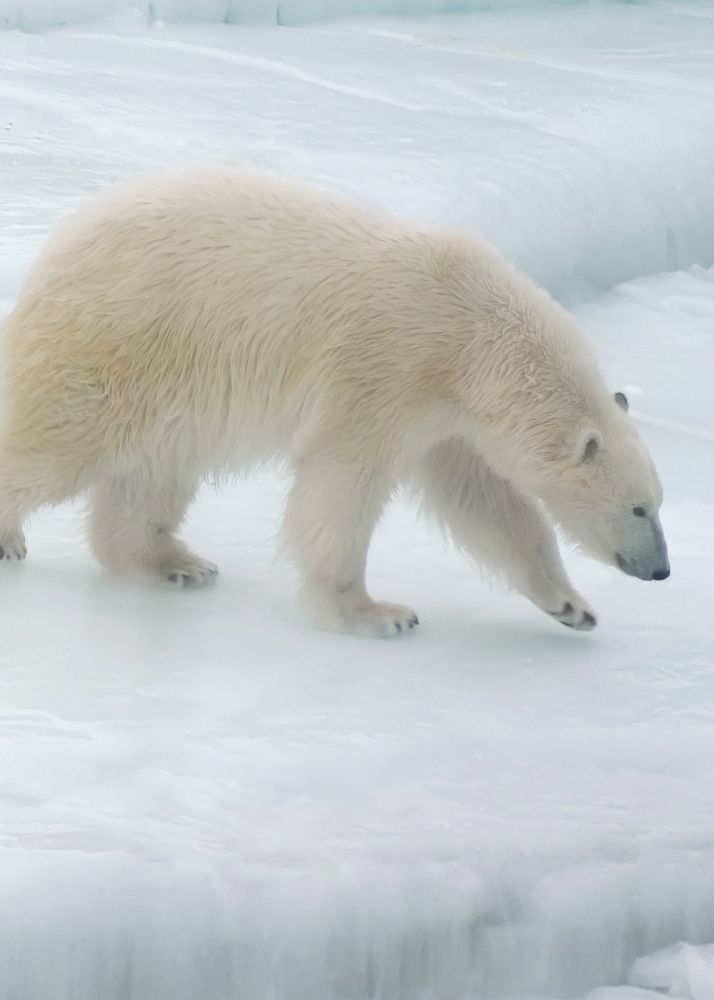 Photograph by Евгения Титова