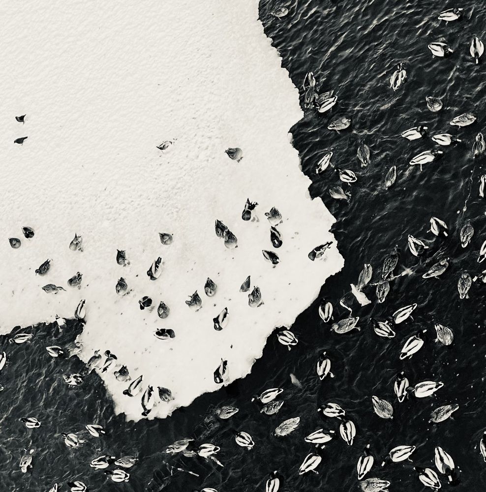 Photograph by Таня Мартынова