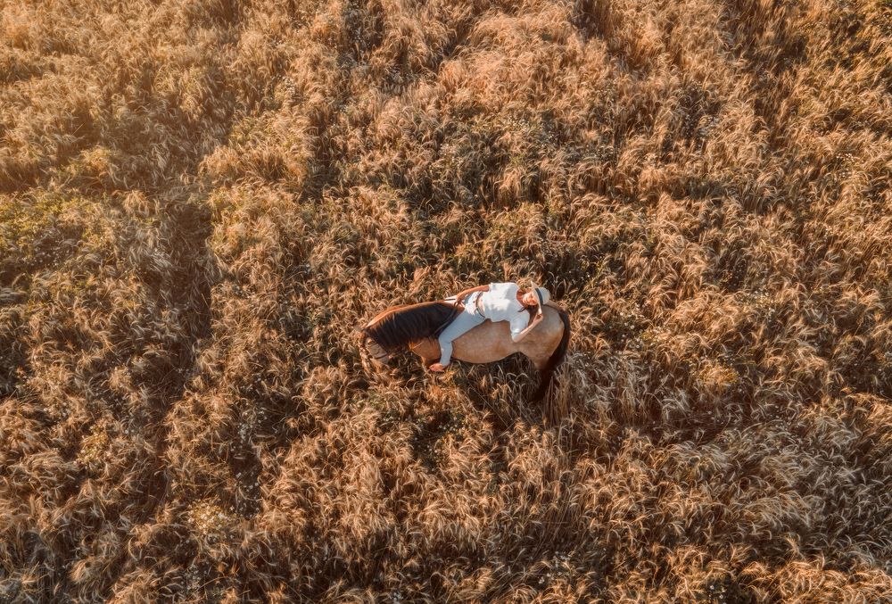 Фотография автора Julia Shepeleva