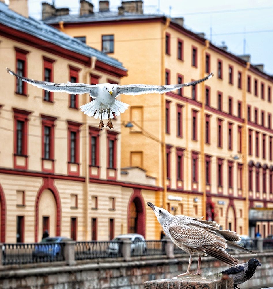 Photograph by Мария Поливода