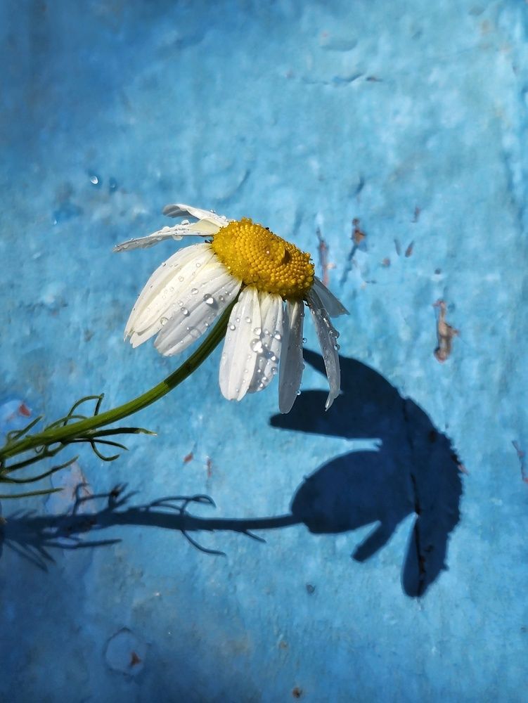 Photograph by Ольга