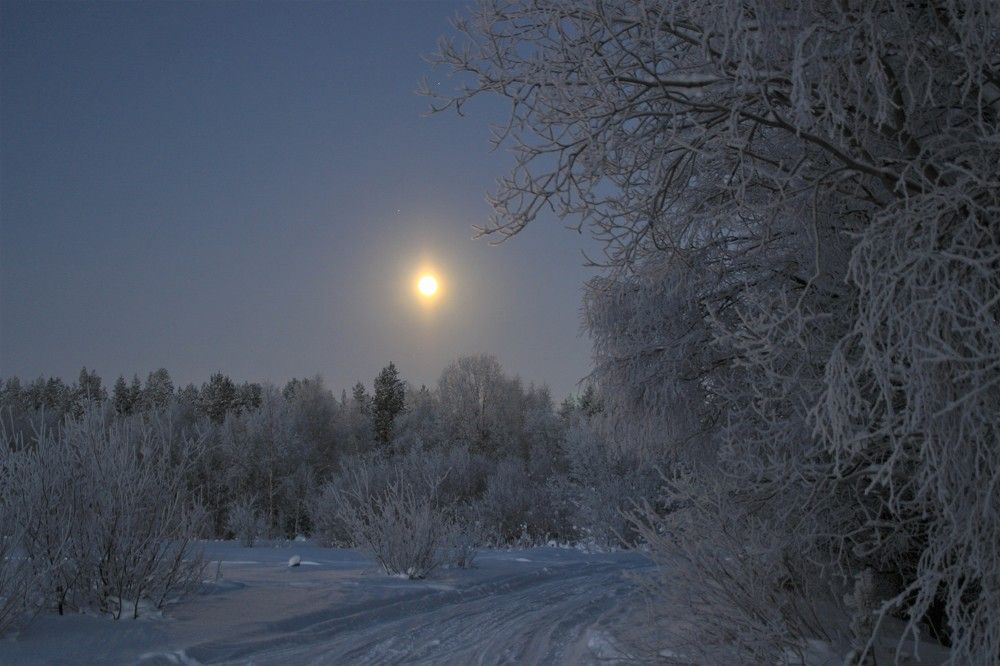 Фотография автора Светлана Терехова