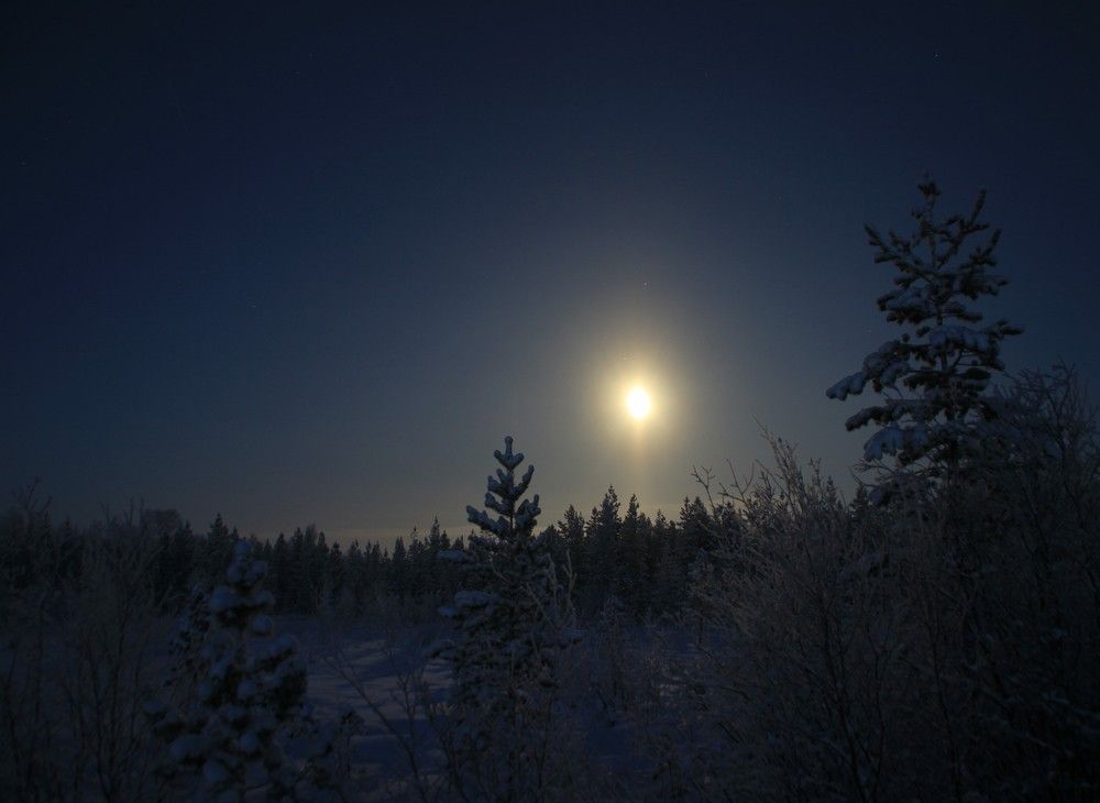 Фотография автора Светлана Терехова