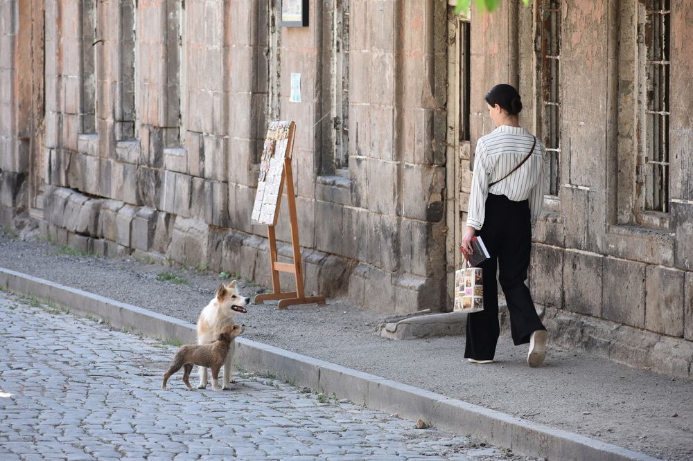 Photograph by Эдуард Оганесян
