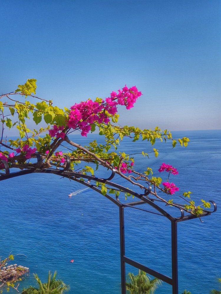 Photograph by Visenberg Kristina