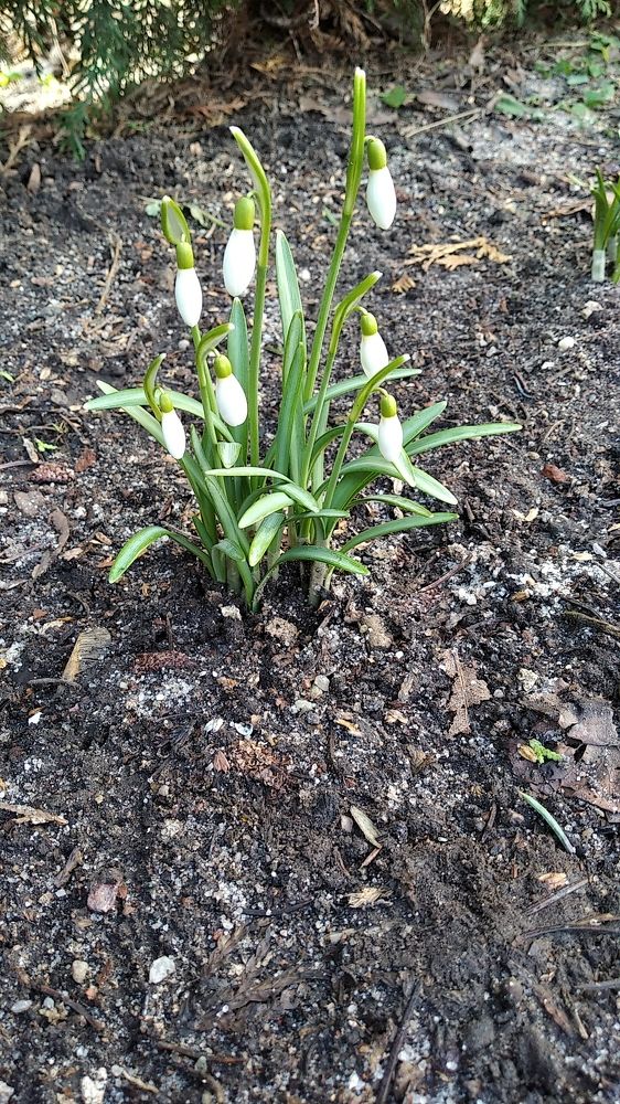 Photograph by Анна Виноградова