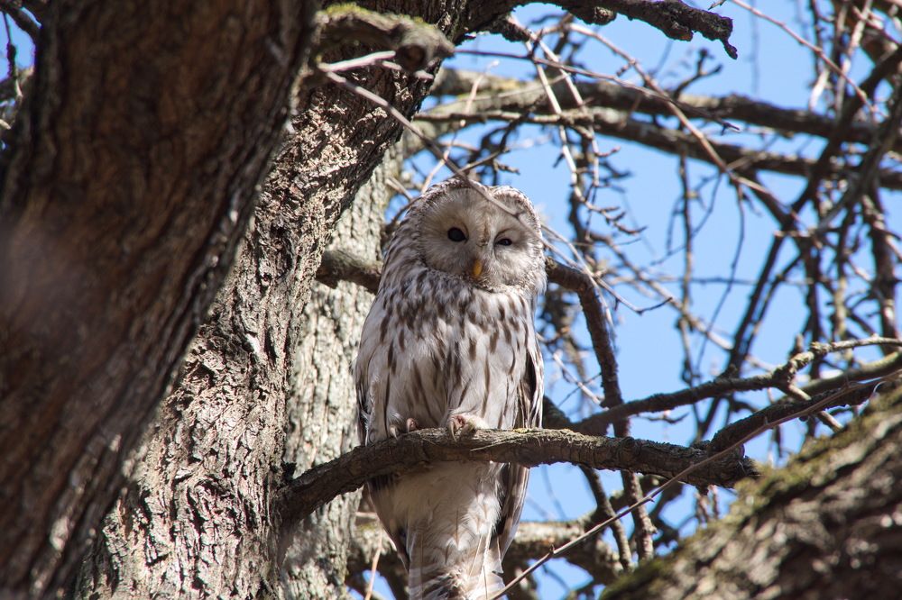 Photograph by Алексей Бородинов