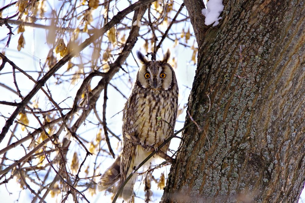 Photograph by Алексей Бородинов