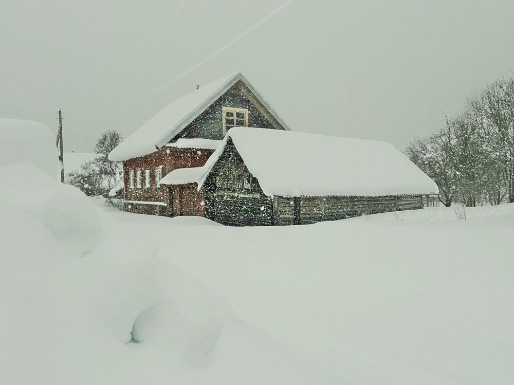 Photo #9055431