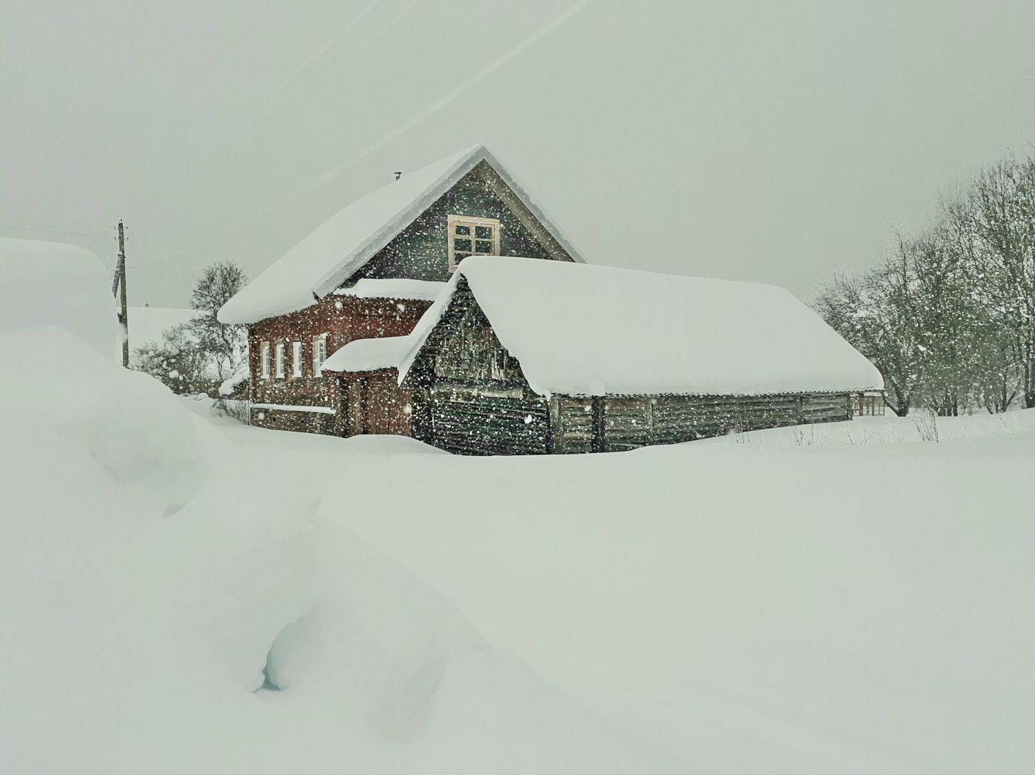 Photo #9055431