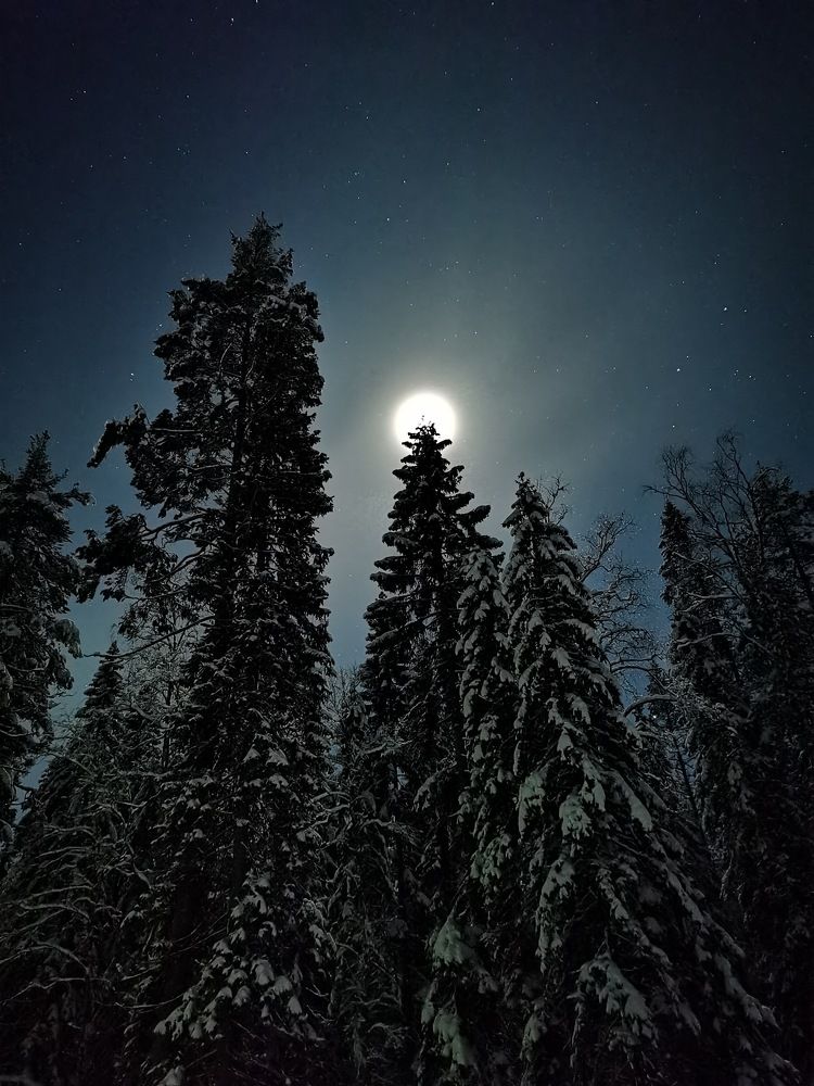 Фотография автора елена агеенко