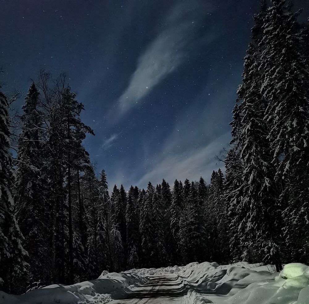 Фотография автора елена агеенко