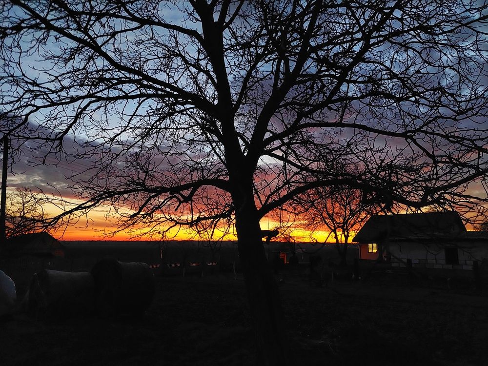 Photograph by Андрей Нурулин