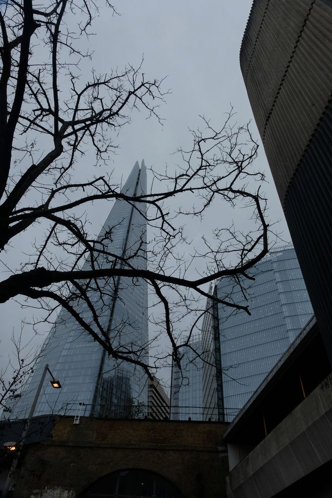 Photograph by Mike Sappojnikoff