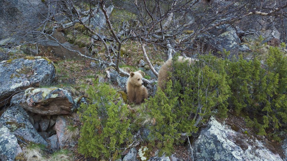 Photograph by Парамонов Григорий