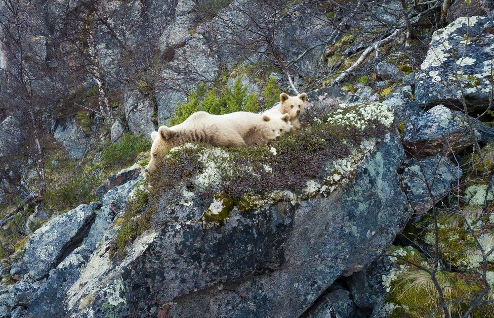 Photograph by Парамонов Григорий