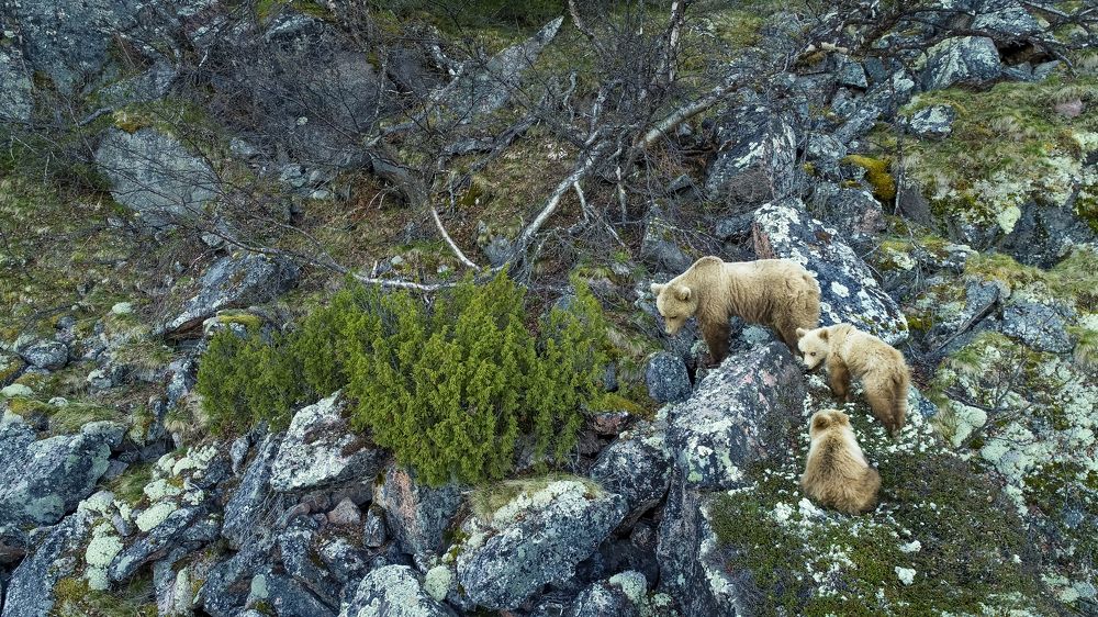 Photograph by Парамонов Григорий