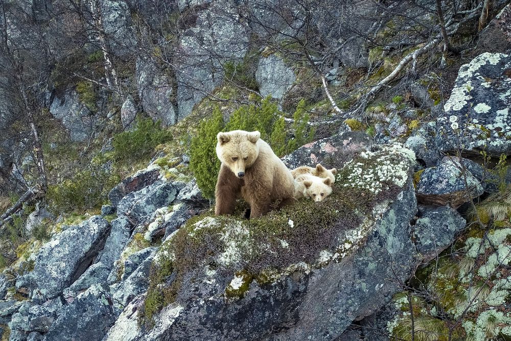 Photograph by Парамонов Григорий