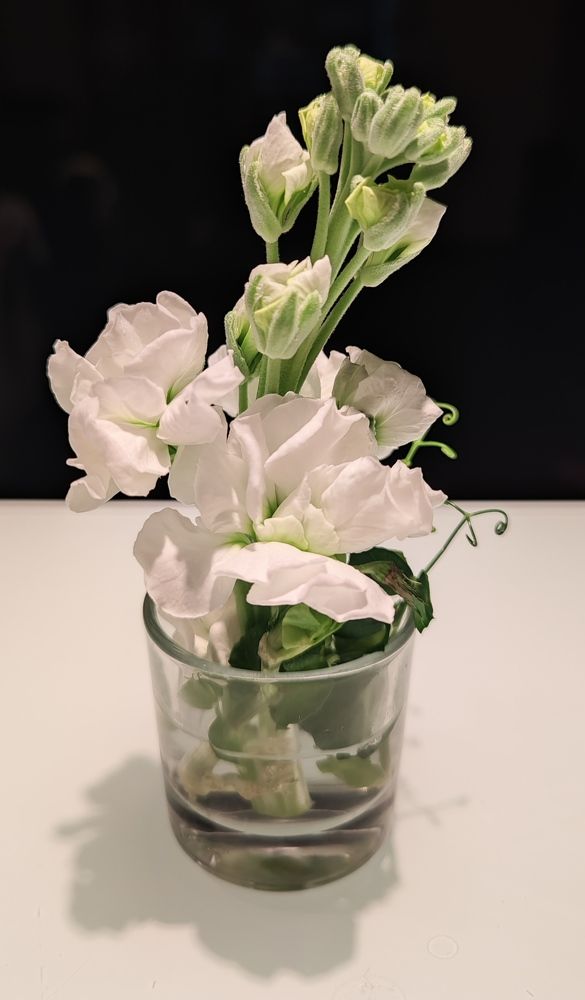 Photograph by Наталья Саенко