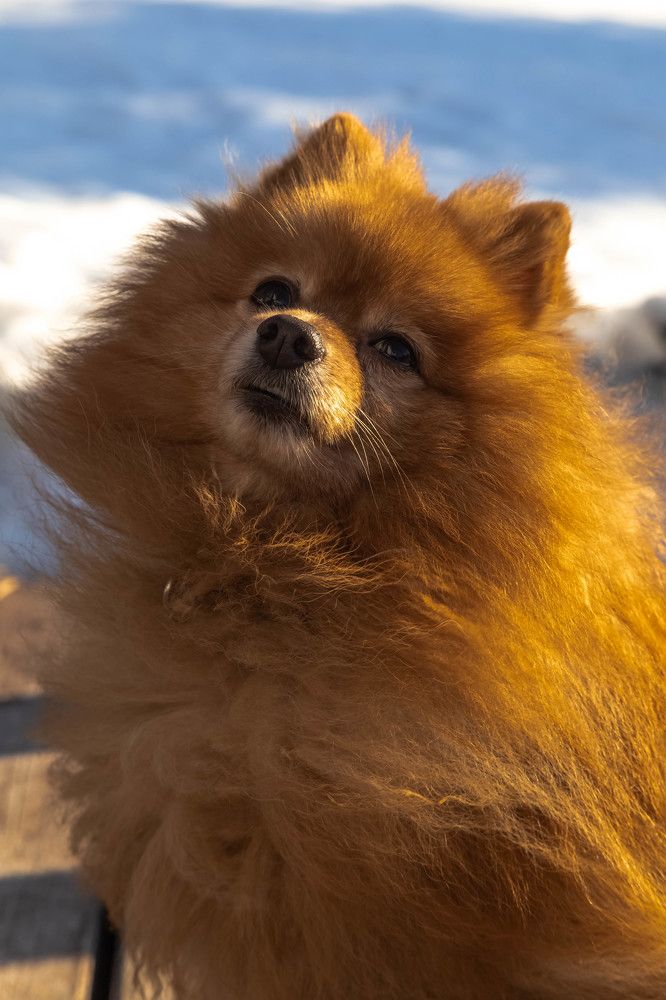 Photograph by Елена Белехова