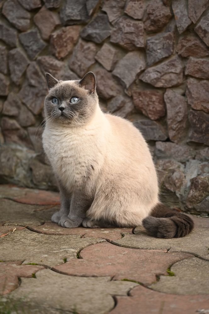 Photograph by Ирина Андриенко