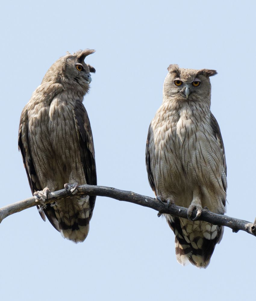 Photograph by Aditya Sapre