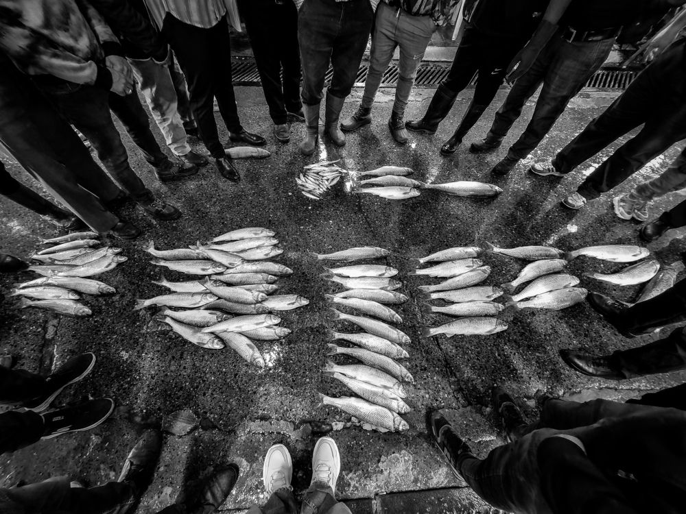 Photograph by Mostafa Mortazavi