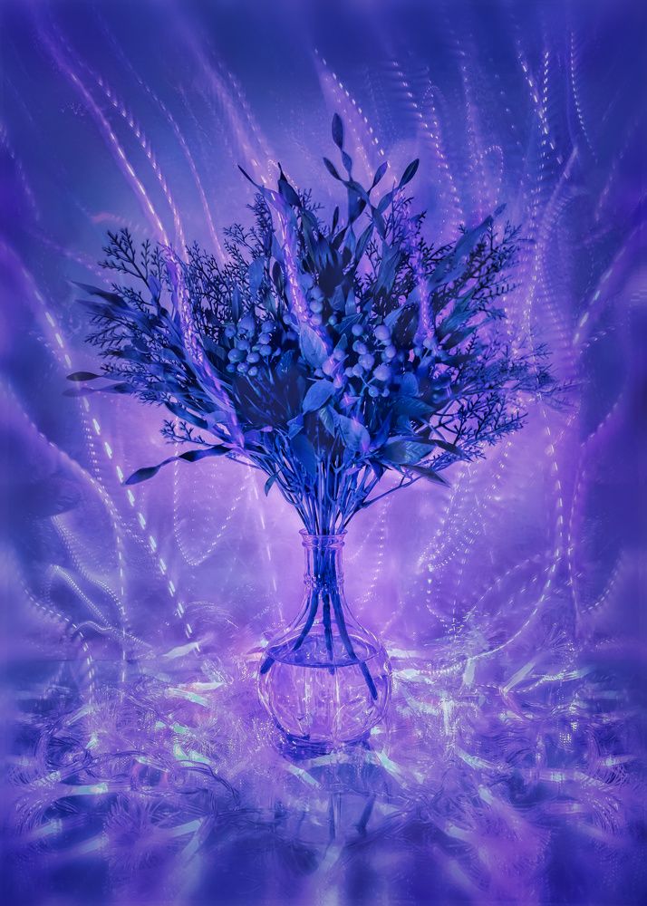 Photograph by Татьяна Колесникова