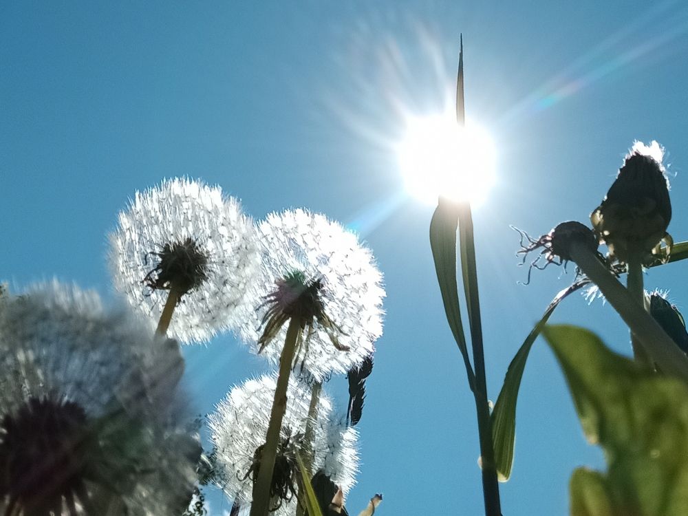 Доброе утро!