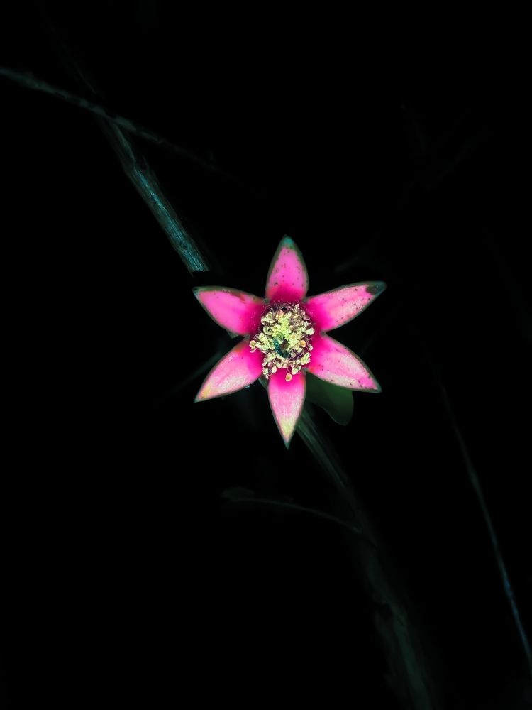 Photograph by Mahendra ponnapati