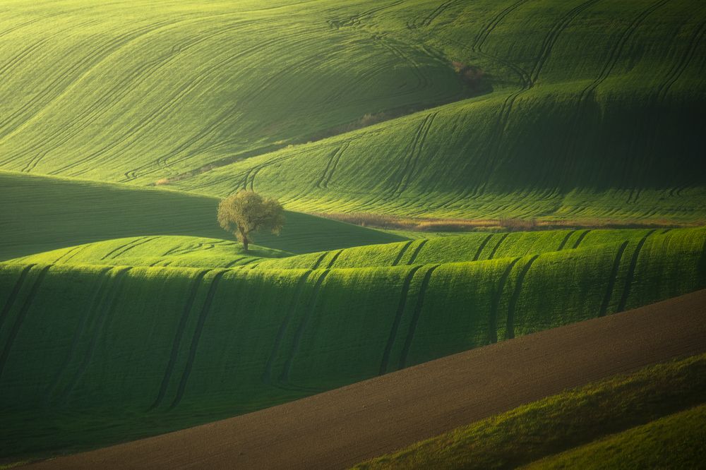 Photograph by Michele