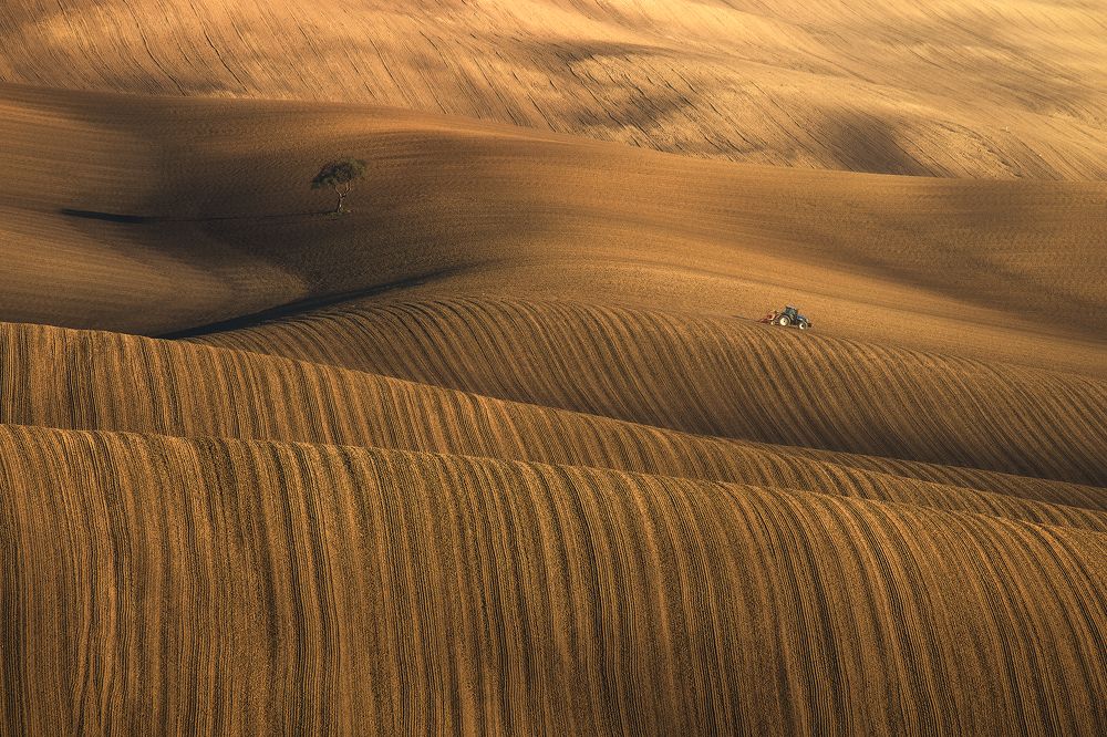 Photograph by Michele