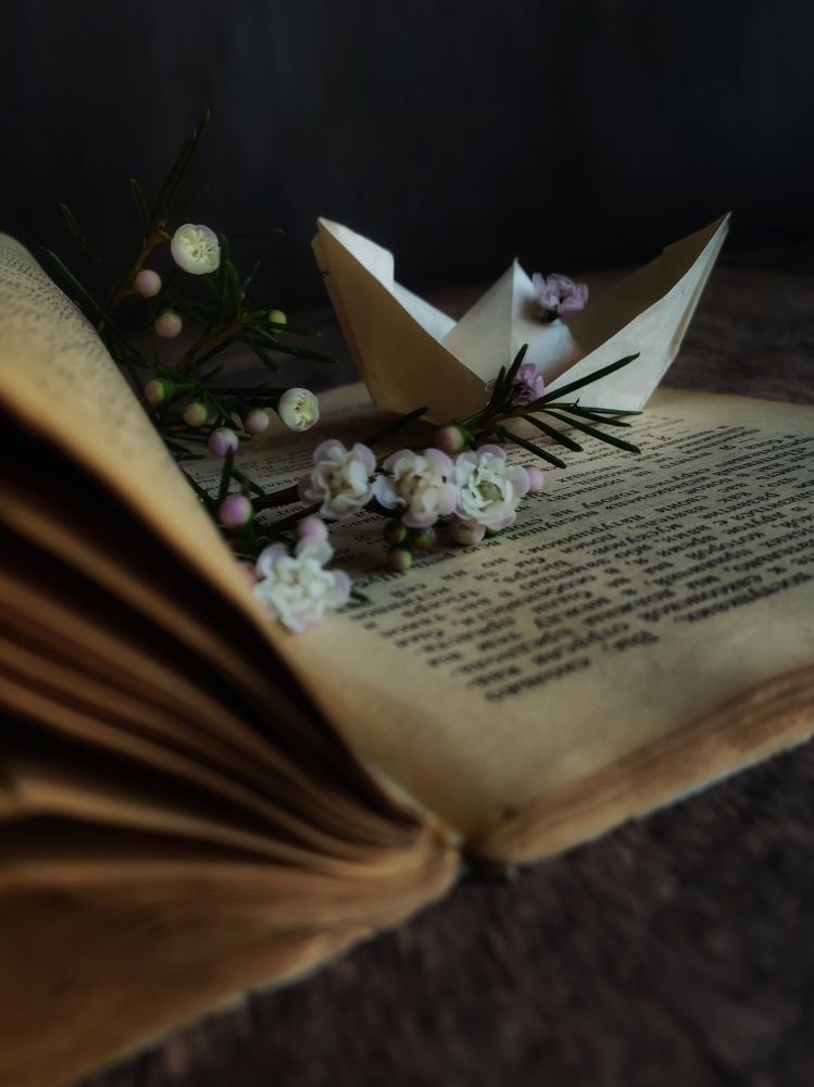 Photograph by Anastasia Malukova