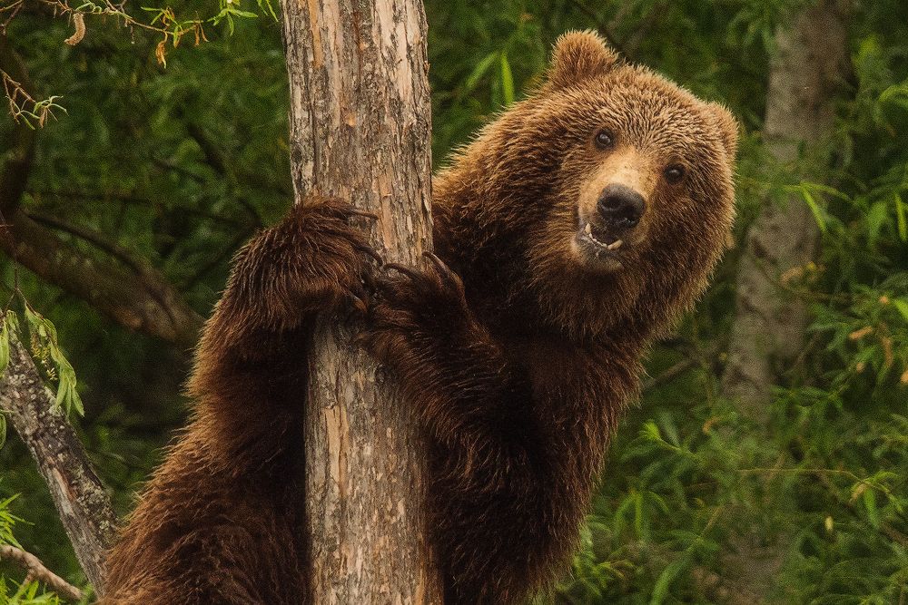 Photograph by Vladimir Kushnarev
