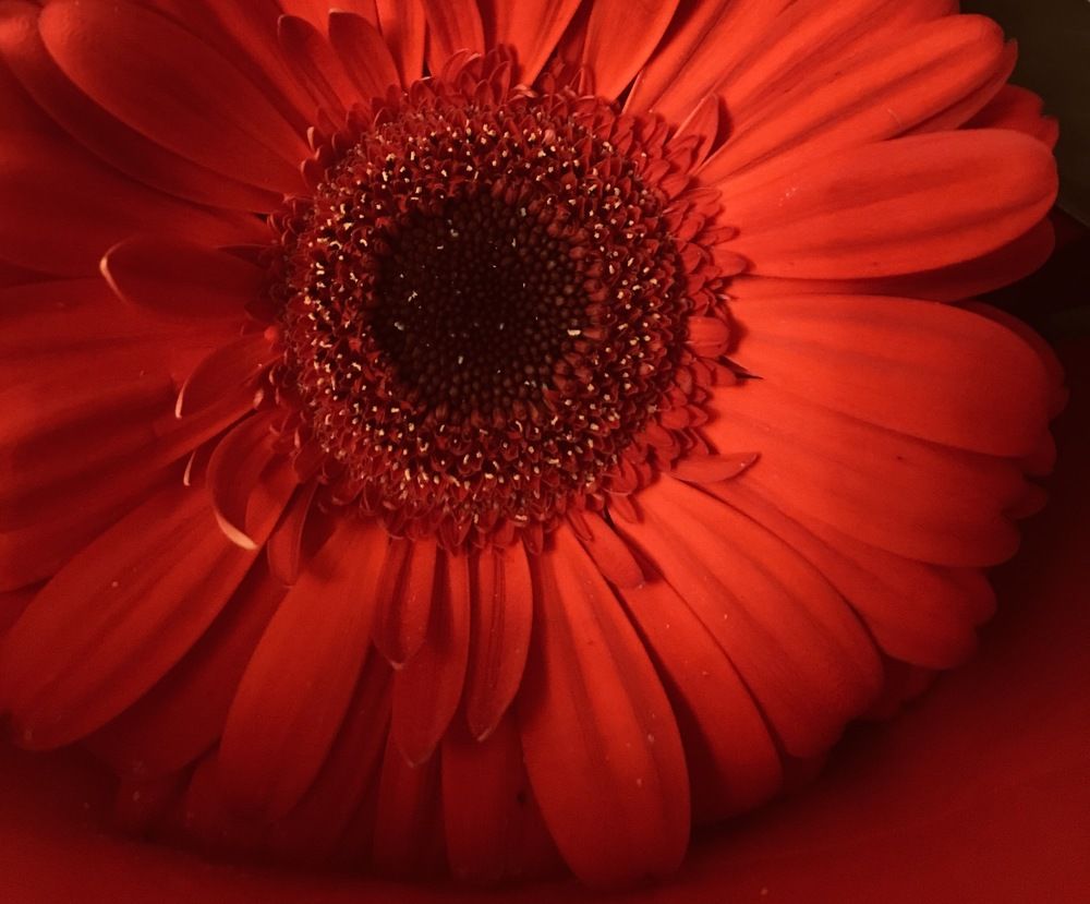Photograph by Мадина Криштопа