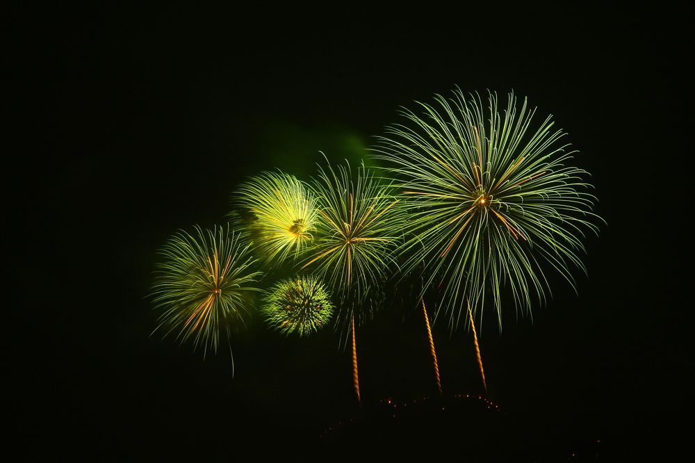 Photograph by Elena Wymann