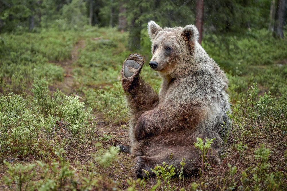 Photograph by Evgeny Borisov