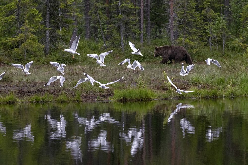 Photograph by Evgeny Borisov