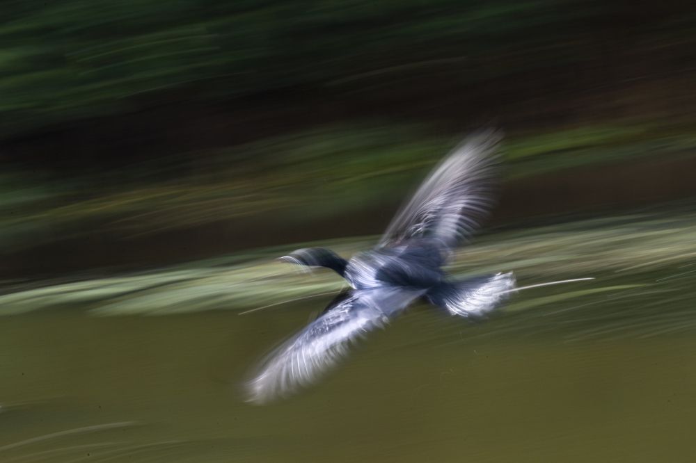 Photograph by Evgeny Borisov