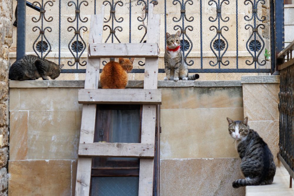 Photograph by Lyudmila Klimanova